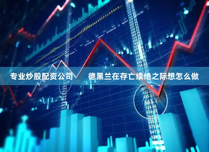 专业炒股配资公司       德黑兰在存亡续绝之际想怎么做
