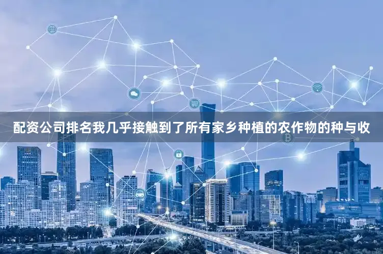 配资公司排名我几乎接触到了所有家乡种植的农作物的种与收